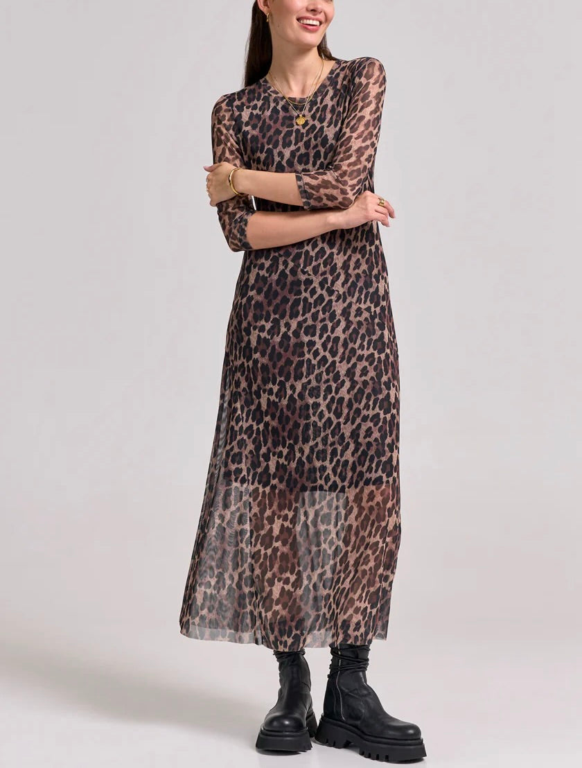 Long Mesh Dress