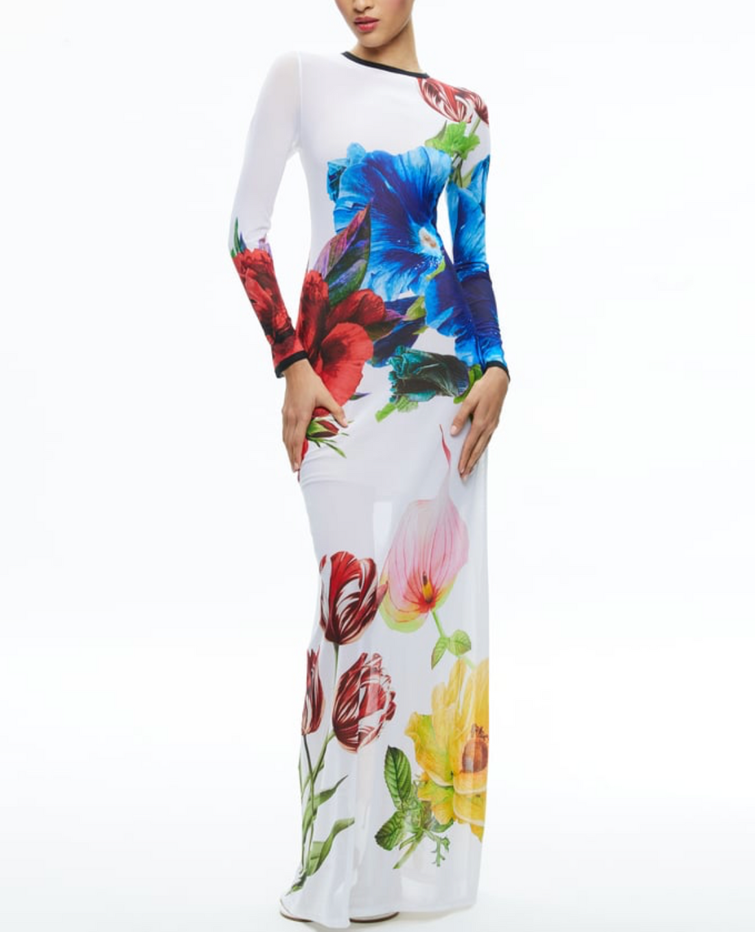 Delora Long Sleeve Maxi Dress