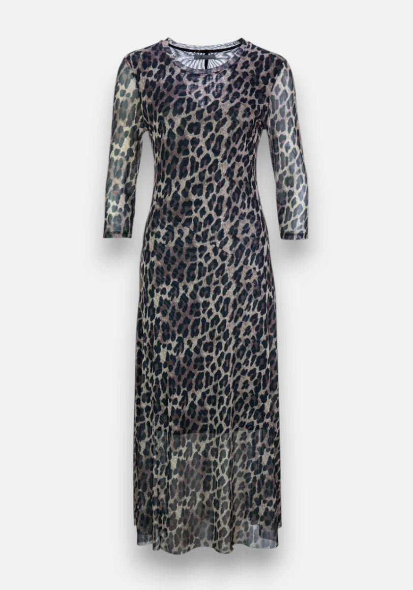 Long Mesh Dress