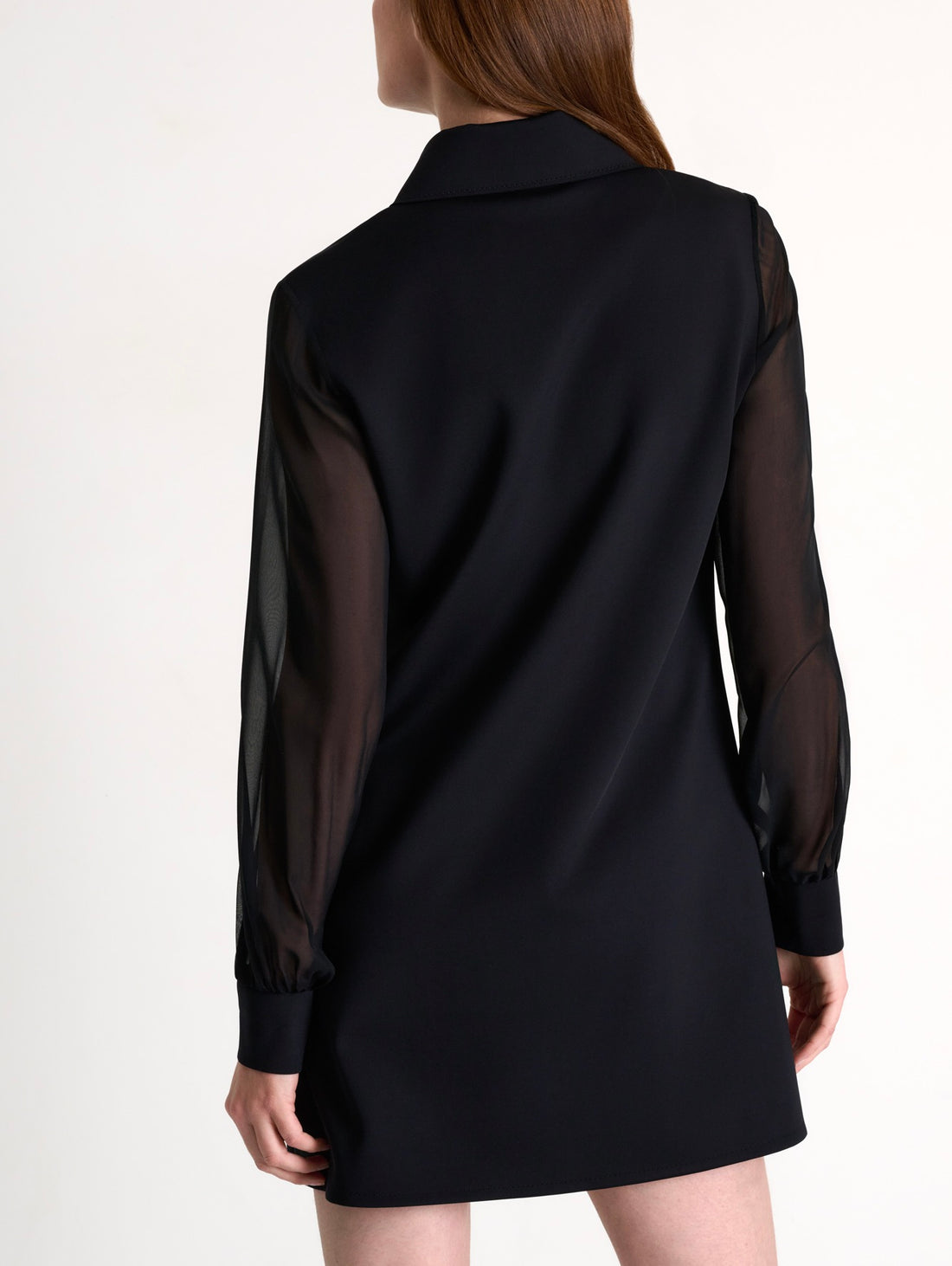 Sofia Sheer Slv Dress
