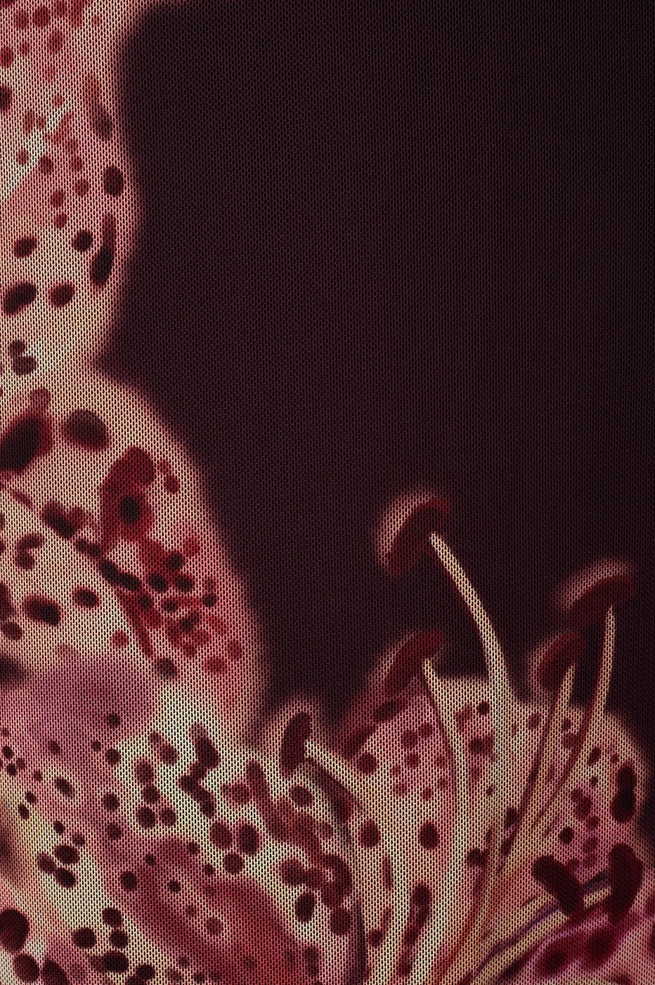 Tulle Print Dress