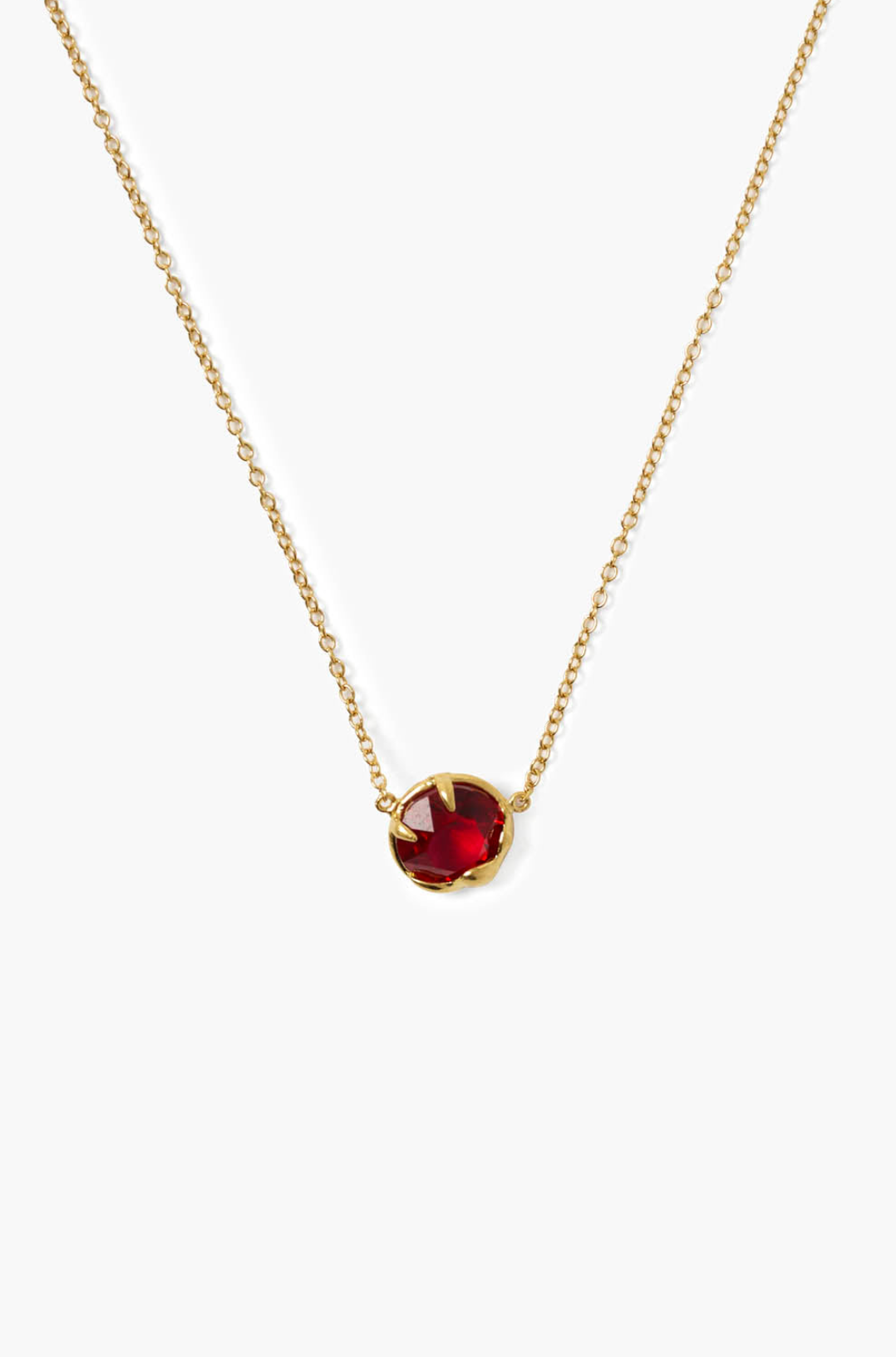 January Birthstone Necklace