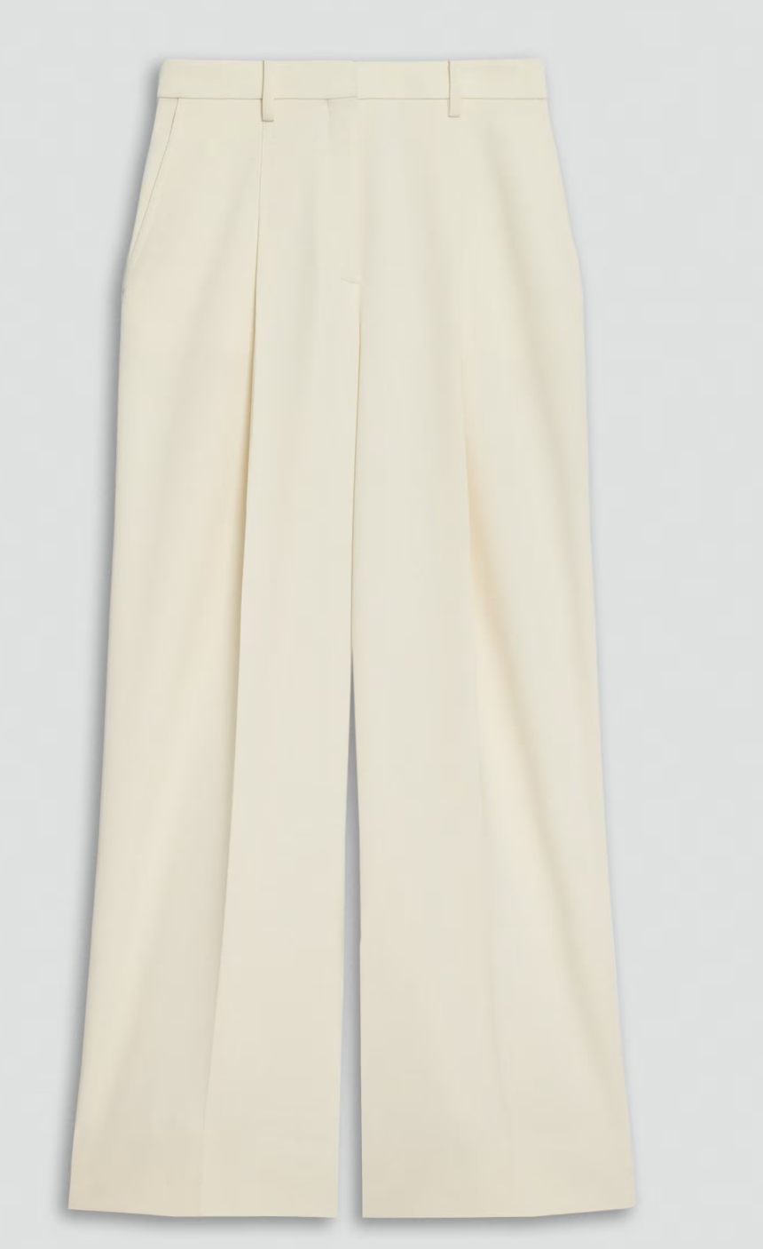 Pleated Wide-Leg Pant