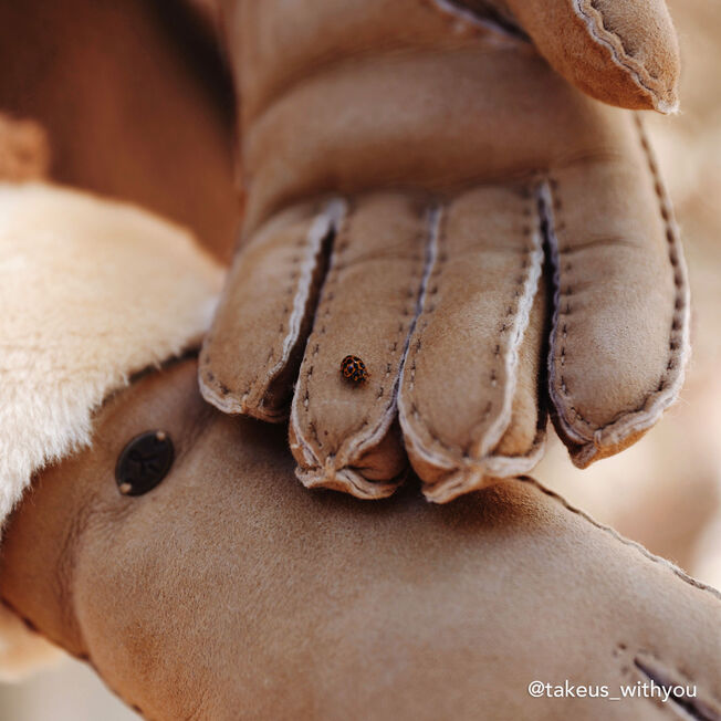 Apollo Gloves